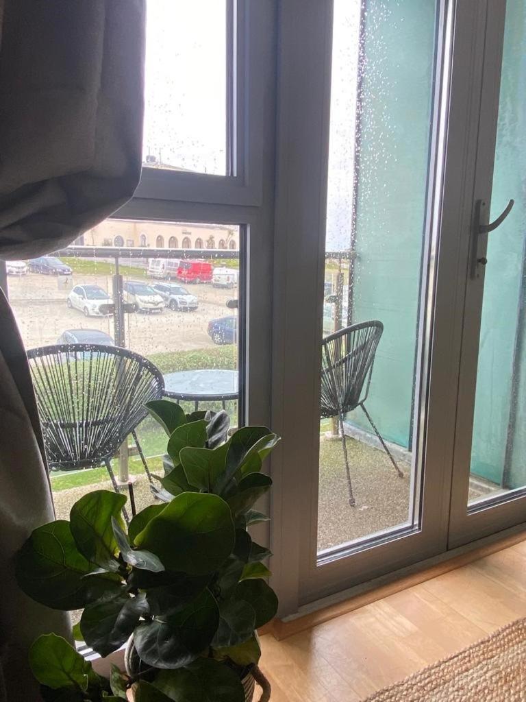 40 Zinc Newquay (Cornwall)